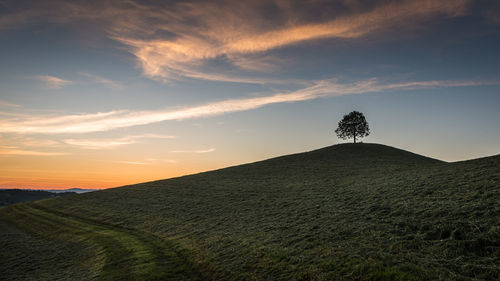 Scenic view of field against sky during sunset