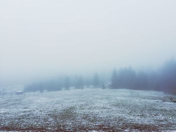 Scenic view of snow covered landscape