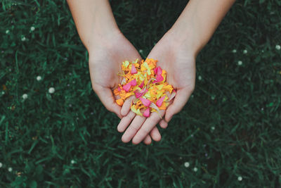 Midsection of person holding flower in field