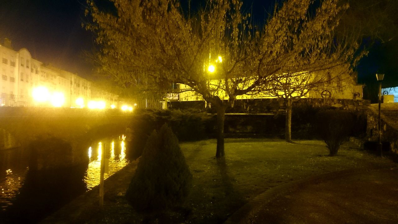 illuminated, night, lighting equipment, tree, outdoors, no people, architecture, sky, nature