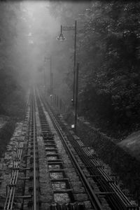 Railroad tracks by trees in forest during foggy weather