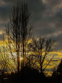 Silhouette bare tree against sky at sunset