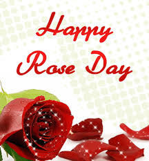 Happy roseday