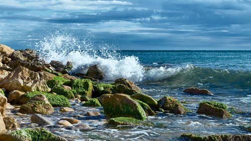 Scenic view of sea against sky