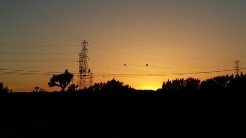 Silhouette of trees at sunset