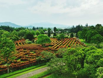 High angle view of trees and garden against sky