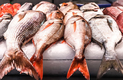 High angle view of fish for sale in market