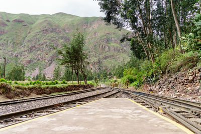 Railroad track amidst trees