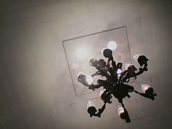 Low angle view of illuminated flowers