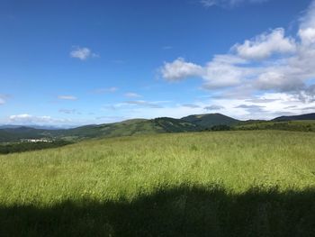 Scenic view of field against sky