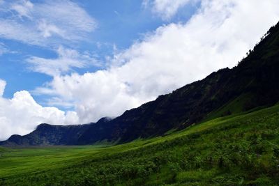 Scenic view of landscape against sky