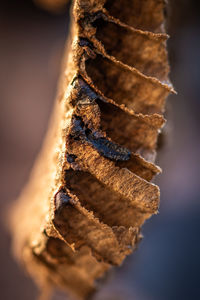 High angle view of ropes on table