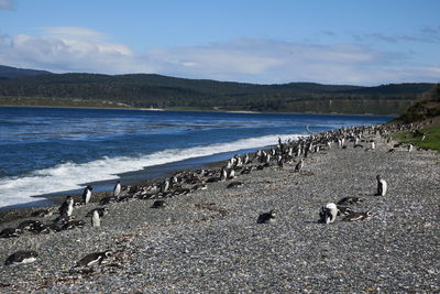 Scenic view of beach against sky