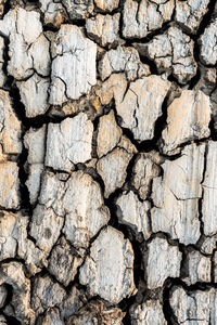 Full frame shot of barren land