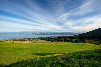 Scenic view of landscape against sky