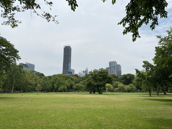 Trees and park in city against sky