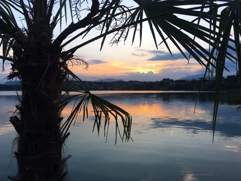 Silhouette palm trees by lake against sky during sunset