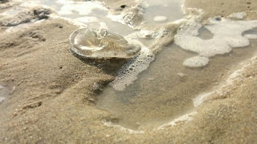 Waves on beach