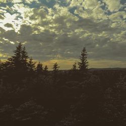 Scenic view of landscape against cloudy sky