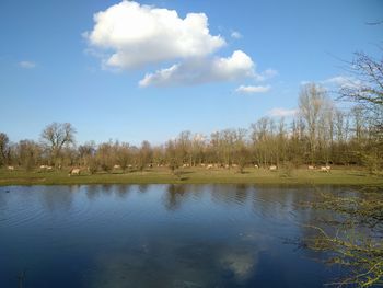 Scenic view of lake against cloudy sky