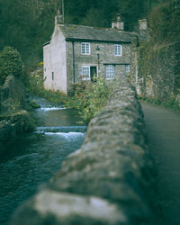 Surface level of stream amidst trees