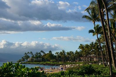 Scenic view of palm trees against sky on hawaiian island 