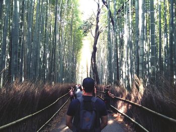 People in bamboo groove