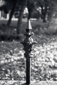 Close-up of statue against trees