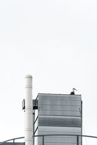 Low angle view of stork perching on metallic building against clear sky