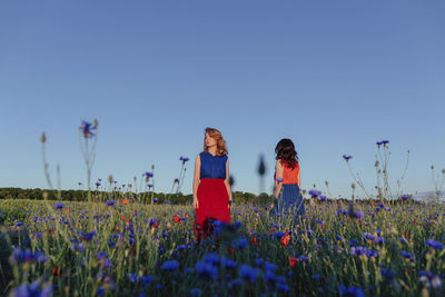 Female friends standing in poppy field while looking away on sunny day