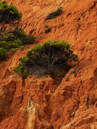 High angle view of rock formations