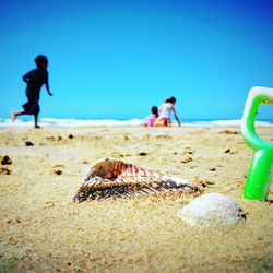 Friends playing on sand at beach