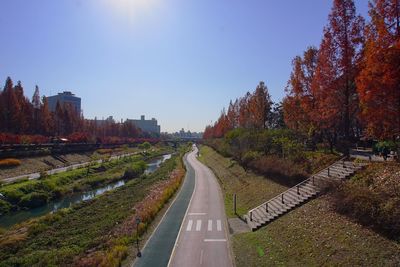 Road amidst trees against sky during autumn