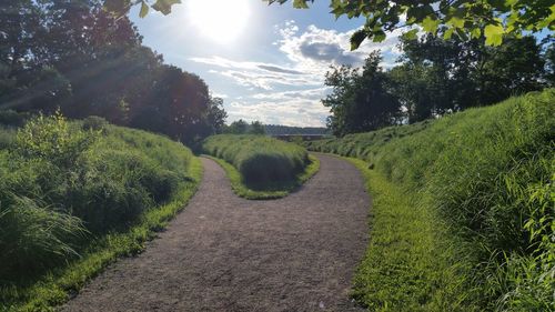 Panoramic view of trees on landscape against sky