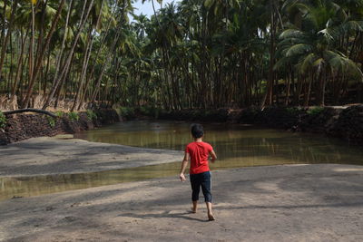 Rear view of man walking in water