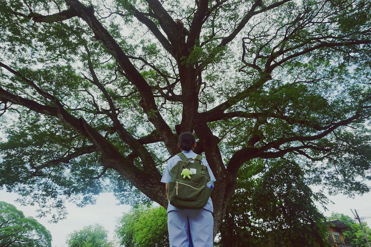 tree, real people, three quarter length, one person, low angle view, standing, casual clothing, day, tree trunk, branch, lifestyles, rear view, leisure activity, growth, outdoors, nature, sky