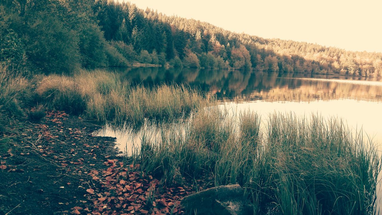 Lac du bouchet