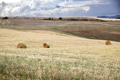 Hay bales on field against sky