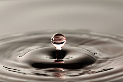 Close-up of drop falling on water surface