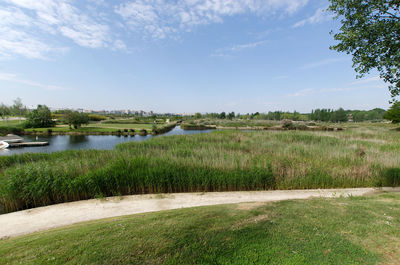 Scenic view of lake against sky