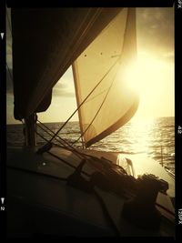 Sun shining over sea