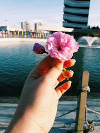 Close-up of woman hand holding flower in city