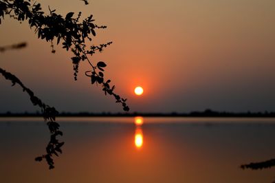 Silhouette tree by lake against sky during sunset