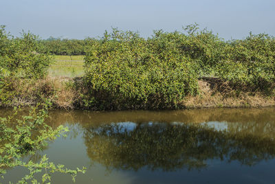 Scenic view of lake against sky