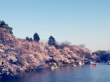 Scenic view of calm lake against clear sky