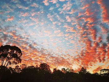 Low angle view of dramatic sky during sunset