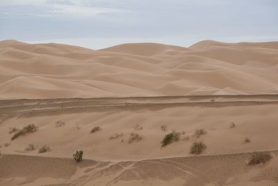 Scenic view of desert against sky