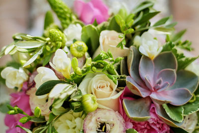 Full frame shot of flowering plants