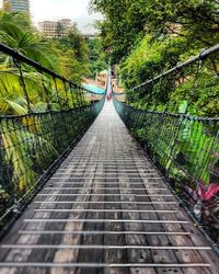 Walkway along trees