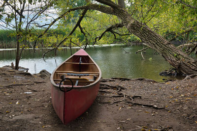 Boat in river amidst trees